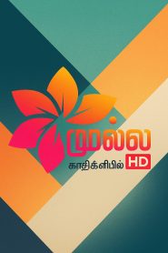 Mullai TV